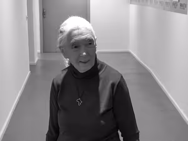 Jane Goodall, britische Verhaltensforscherin (1934 - 2025) Das Bild zeigt Jane Goodall am 2. Mai 2023 kurz vor einem Gespräch mit Journalisten im Münchner Press