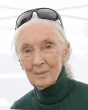 Fryday with Jane Goodall (2025)