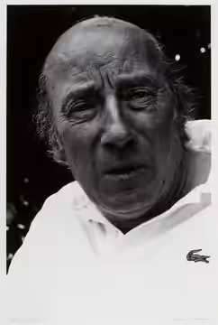 Michel Robin