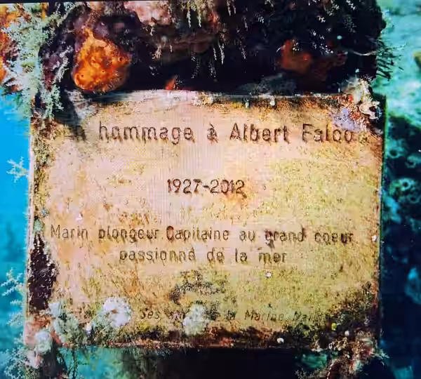 Plaque Comemprative Alber Falco Martinique (2024)
