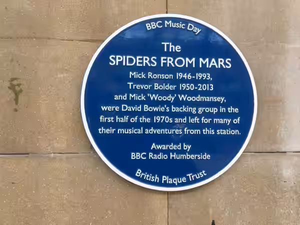 The Spiders from Mars (2018)