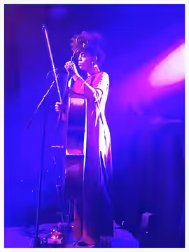 Kelsey Elizabeth McJunkins (Kelsey Lu), American singer and cellist (2016)
