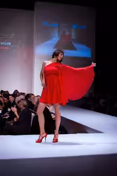 Tamara Taylor found quick success in her career through nationally televised commercials. Just months after moving to Los Angeles from her hometown of Toronto,  (2012)