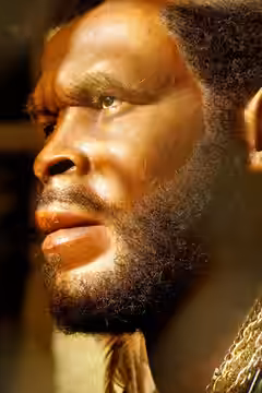 Mr. T