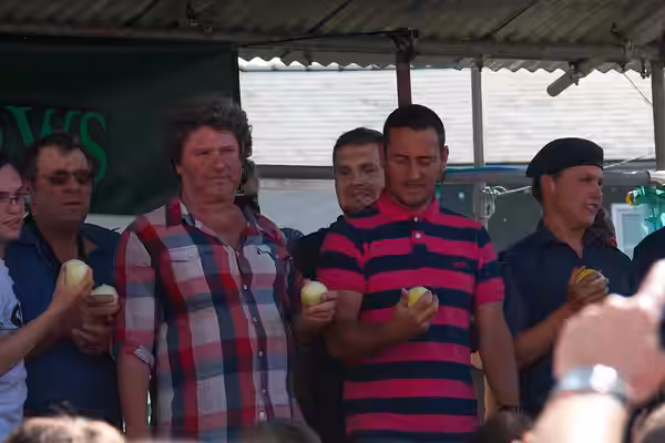 Rory McGrath and Will Mellor at Newent Onion Fayre 2012