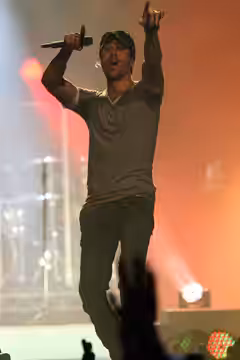 Enrique Iglesias (2011)