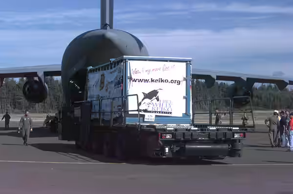 An Air Force 60K Tunner cargo loader approaches a C-17 Globemaster III in preparation for loading the specially made transport tank containing Keiko, the killer