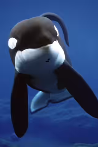 Keiko