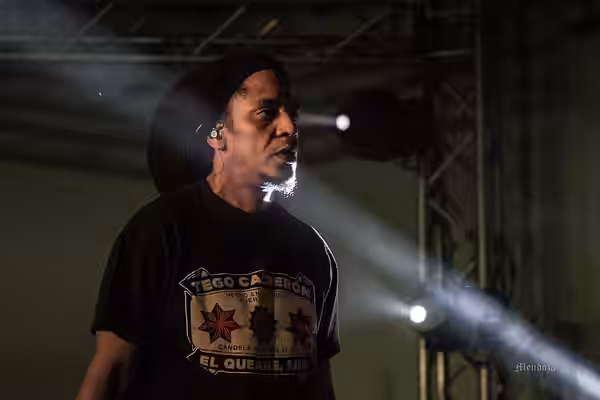 Tego Calderon singing at the laredo coliseum (2015)