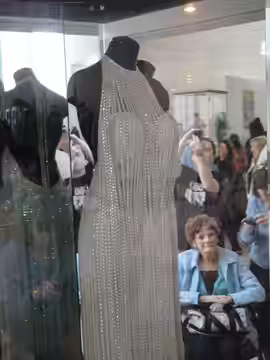 Kim Novak show dress from the film Jeanne Eagels (1957) at the Debbie Reynolds Auction Breaks Up Historic Hollywood Collection (The Paley Center for Media in Be (2011)