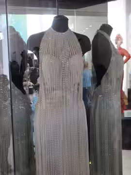Kim Novak show dress from the film Jeanne Eagels (1957) at the Debbie Reynolds Auction Breaks Up Historic Hollywood Collection (The Paley Center for Media in Be (2011)