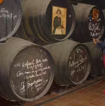 Williams &amp; Humbert Bodega in Jerez (2011)