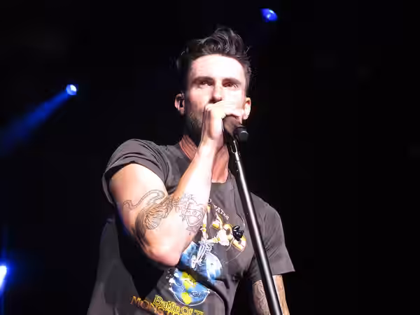 Adam Levine (2013)