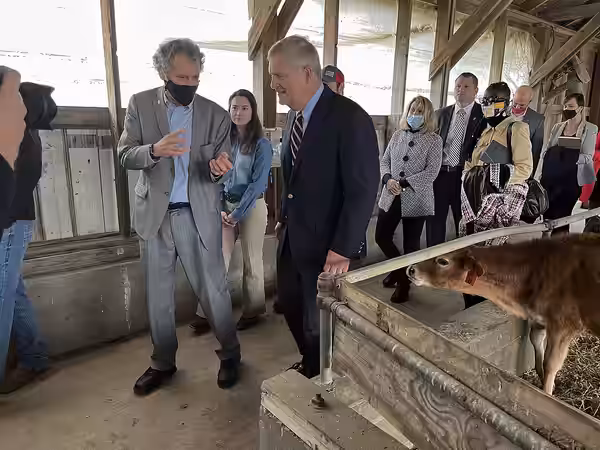Agriculture Secretary Tom Vilsack and Senator Sherrod Brown (D-OH) tour the Waterman Complex Dairy Barn with OSU students at Ohio State University in Columbus O (2021)