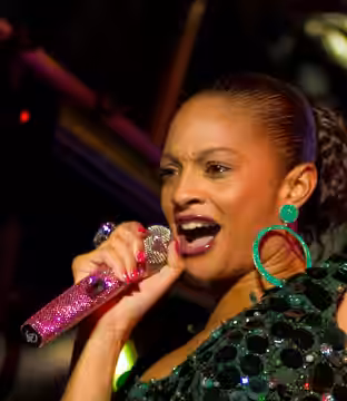 Alesha Dixon (2011)