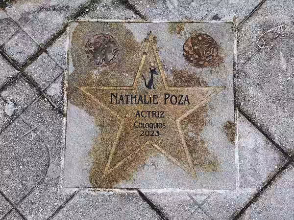 Star in Walk of Fame in Cans (2024)