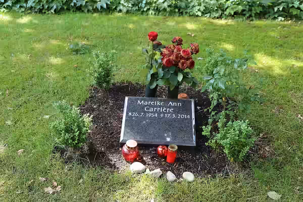 Mareike Ann Carrière (* 26. Juli 1954 in Hannover; † 17. März 2014[1] in Hamburg[2]) war eine deutsche Schauspielerin. Sie war auch als Hörspielsprecherin, Atem (2016)