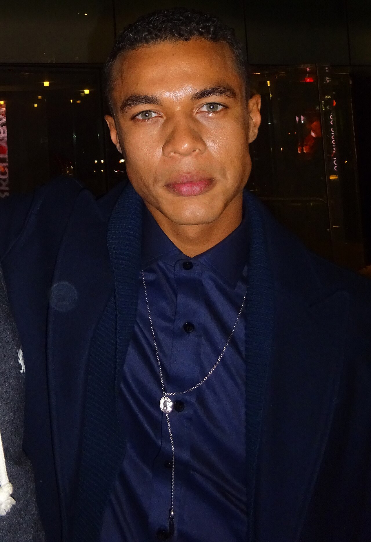 Star of Ray Donovan and Billy Lynn's Long Halftime Walk. NYC Oct '16 (2016)