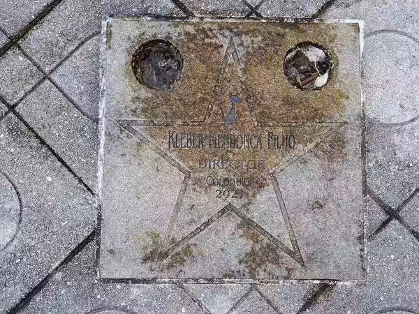 Stars in the Walk of Fame in Cans, Spain. (2024)