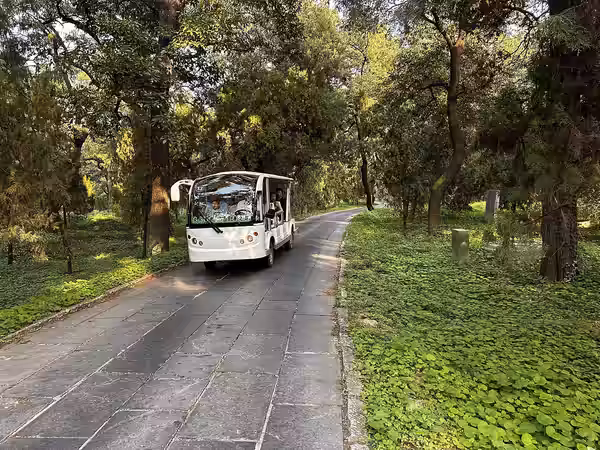 Bus to the Kong graves (2023)