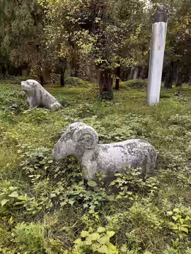 Animal stones (2023)
