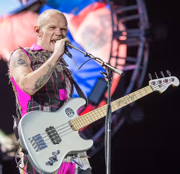 ARGO-Konzerte,Festival,Konzert,Livekonzert,Livemusik,Michael „Flea“ Balzary,Musik,Red Hot Chili Peppers,RiP,Rock im Park 2016,Seat Zeppelin Stage