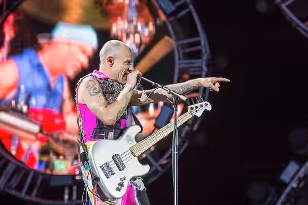 ARGO-Konzerte,Festival,Konzert,Livekonzert,Livemusik,Michael „Flea“ Balzary,Musik,Red Hot Chili Peppers,RiP,Rock im Park 2016,Seat Zeppelin Stage