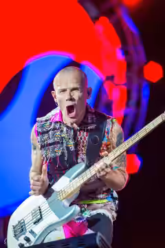 ARGO-Konzerte,Festival,Konzert,Livekonzert,Livemusik,Michael „Flea“ Balzary,Musik,Red Hot Chili Peppers,RiP,Rock im Park 2016,Seat Zeppelin Stage