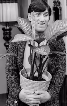Photo of Paul Benedict as Harry Bentley, neighbor of George and Louise Jefferson. In this photo from The Jeffersons, Harry asks George and Louise to plant-sit f (1975)