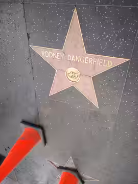 Hollywood Walk of Fame- Rodney Dangerfield star (2020)