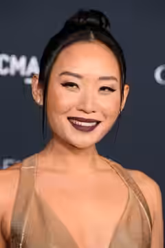 Li Jun Li