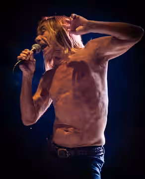 Iggy Pop. Follow me on facebook Twitter : @didyPhotography All the photographies I've made are now under CC0 (Creative Commons Zero) CC0 - learn more To the ext (2012)