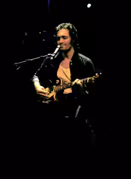 Actor and musician en:Vincent Gallo (2005)
