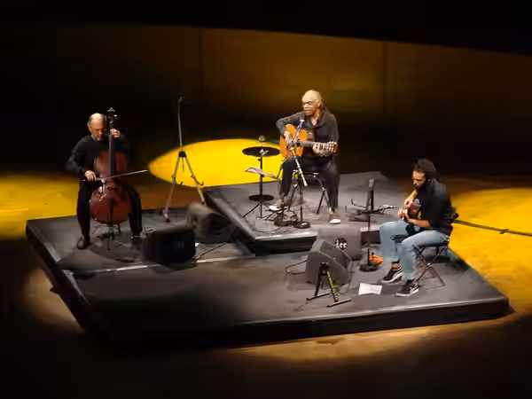Gilberto Gil, Palais des Beaux-Arts [1], Bruxelles, Belgique, 11/2009, GILBERTO GIL - The String Concert, Gilberto Gil guitare, chant, compositeur - Jaques More
