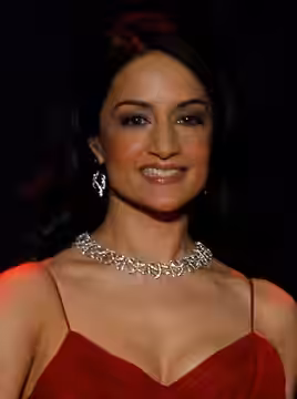 Archie Panjabi (2014)