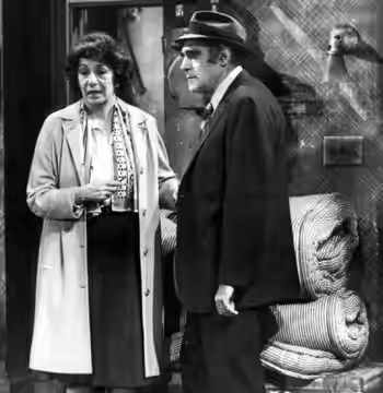 Publicity photo of Abe Vigoda and Florence Stanley as Phil and Bernice Fish from the television program Fish.