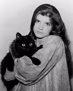 Katharine Ross photographed in 1966
