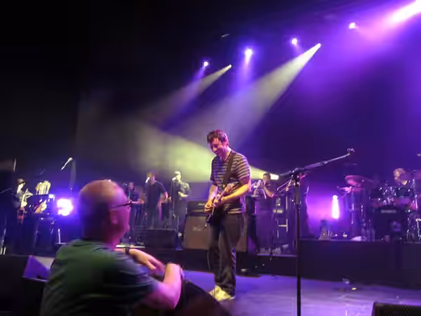 Graham Coxon (2012)