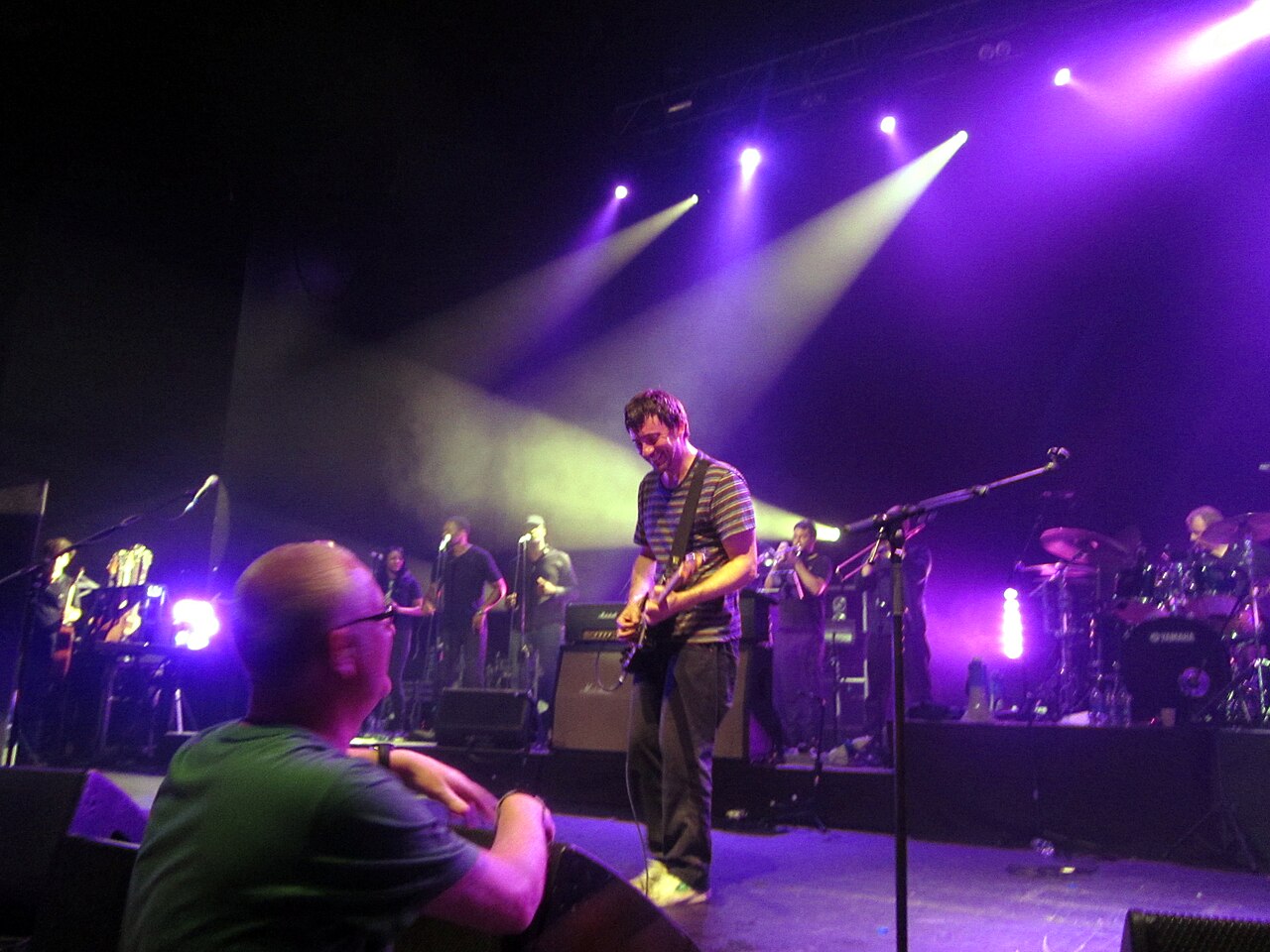 Graham Coxon (2012)