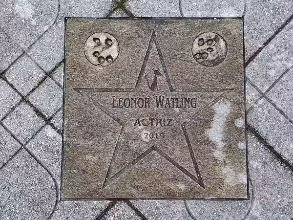 Star in Walk of Fame in Cans (2024)