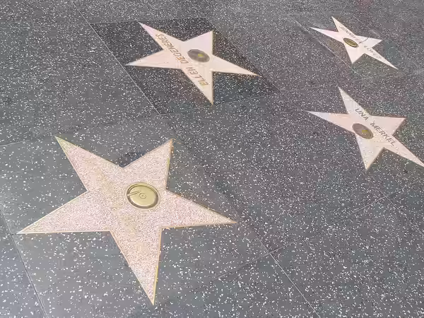 Stars on the Hollywood Walk of Fame. (2013)