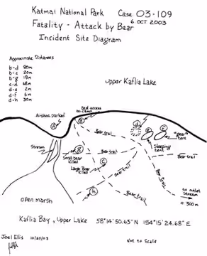 Diagram of Timothy Treadwell attack site.Letters indicate...a - Floatplane mooredb - best access to the campc - place where bear 141 was killedd - Amie's remain