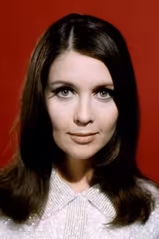 Anjanette Comer