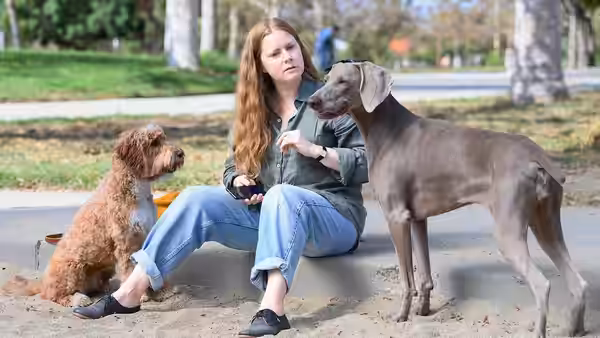 Amy Adams as Mother sitting on a path with two dogs in a park
