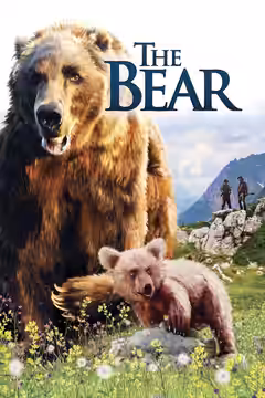 The Bear poster 3