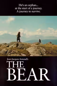 The Bear poster 4