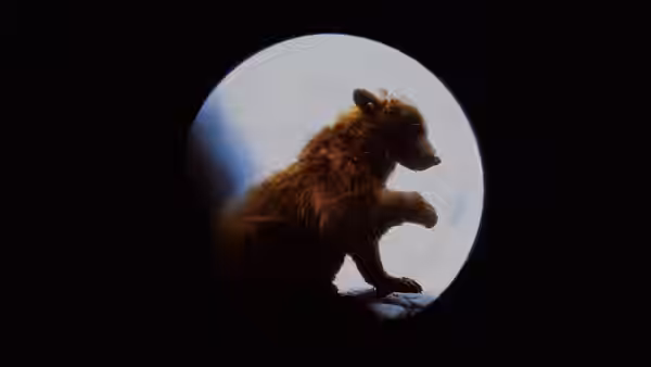 A bear rears against a bright opening in the darkness