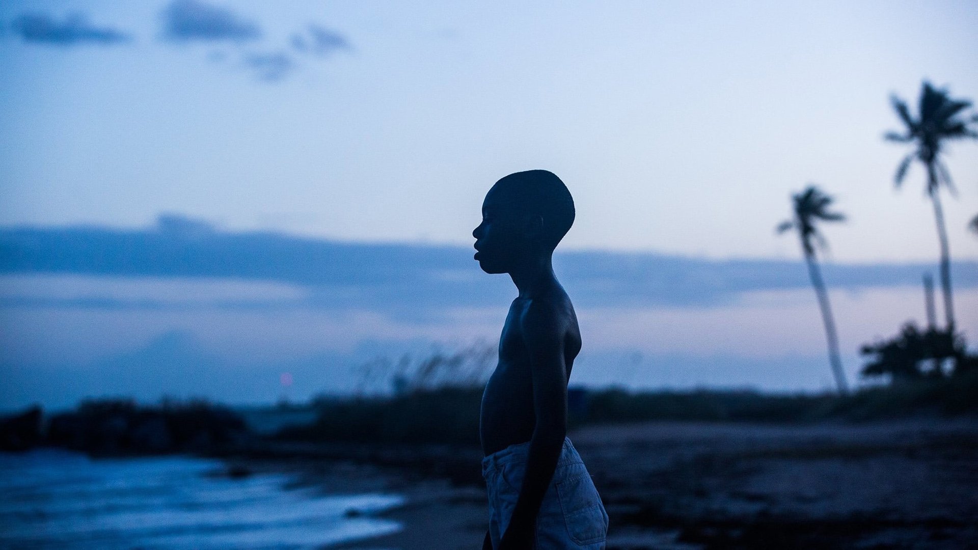 Moonlight, still 4