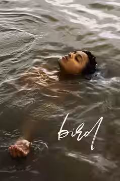 Bird poster 2
