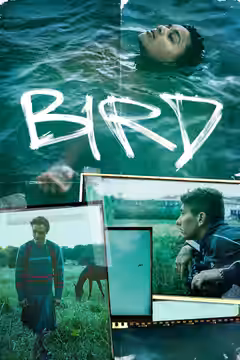 Bird poster